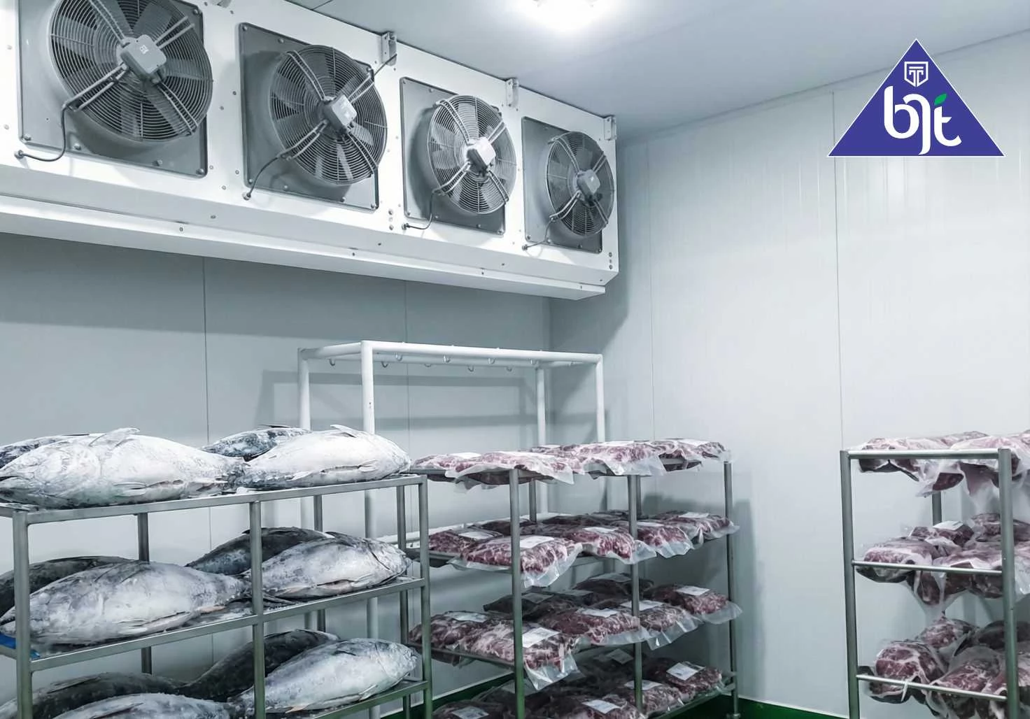 Cold storage blast freezer BJT